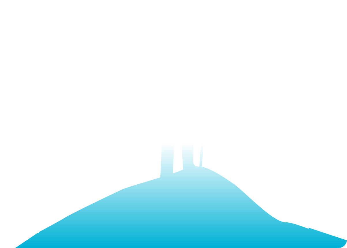 Sub Banner